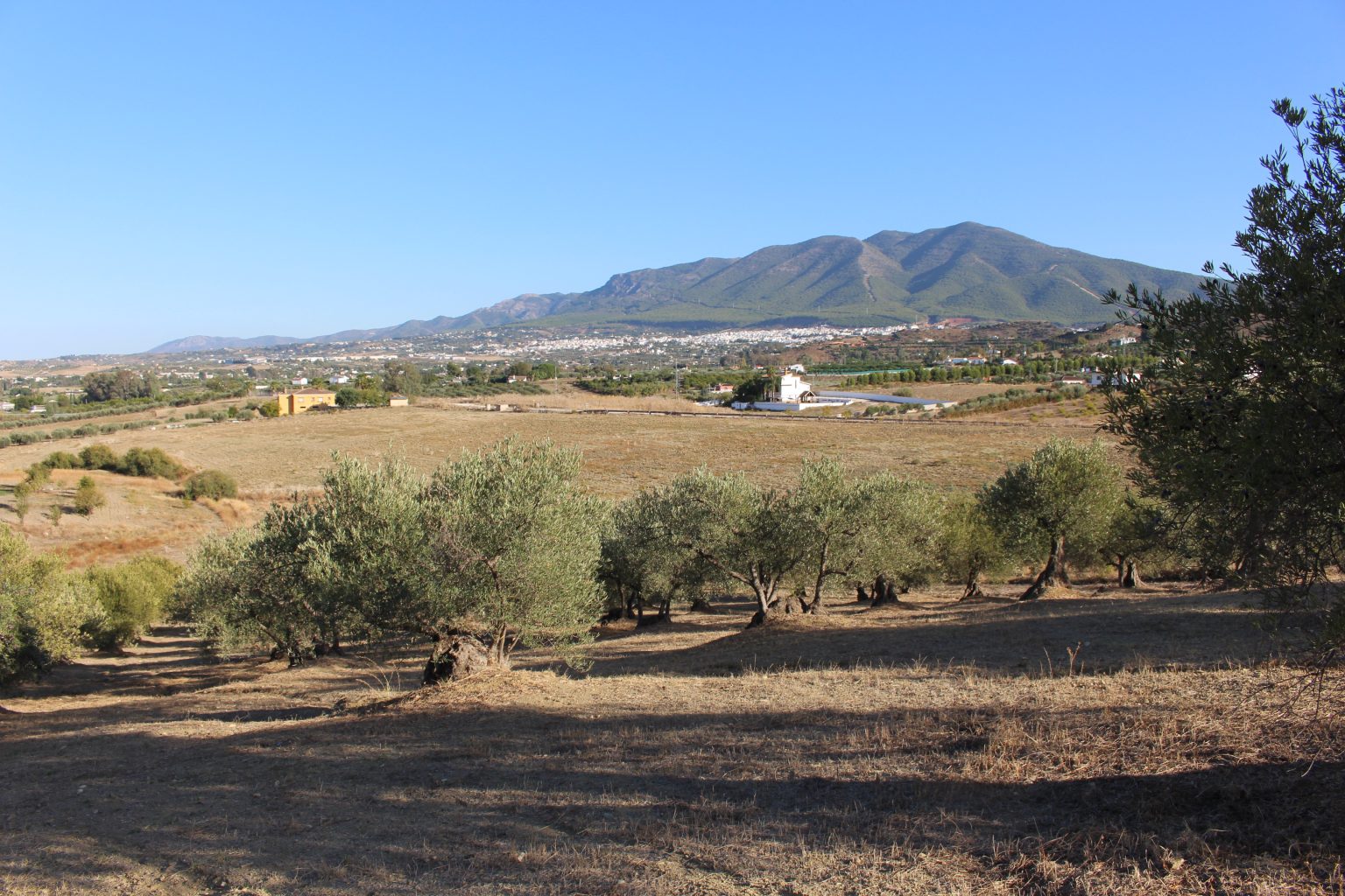 Terreno en venta en Lugar Partido Huertas Nuevas