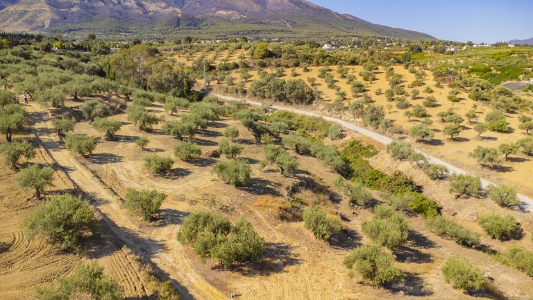 Terreno rústico en venta en Alhaurín el Grande