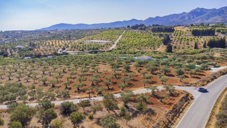 Terreno en venta en Alhaurín el Grande, PD Quinto - VTT2369